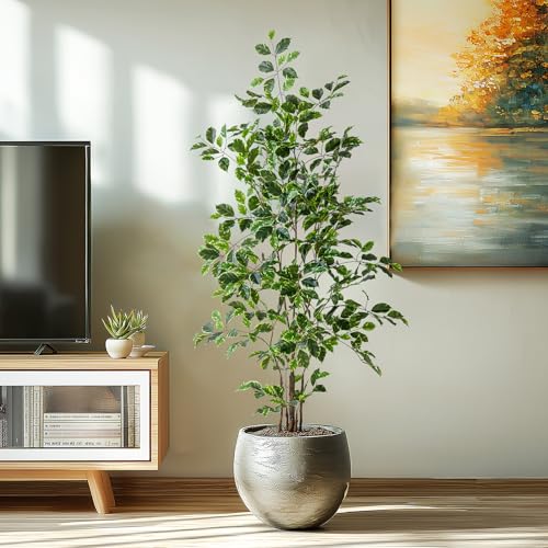 Bailikang Artificial Ficus Tree Indoor 5ft, Large Potted Faux Tree with Realistic Silk Leaves & Trunk for Home Office, Living Room Corner Decor - color: White Green, size: 5ft