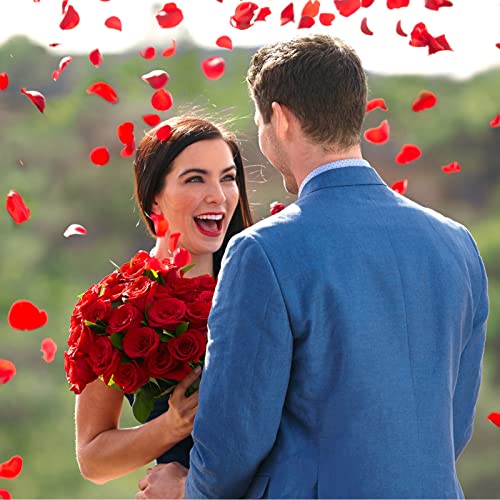 Ouddy Decor 5000 Pcs Rose Petals Artificial Flower for Valentine's Wedding Decor Romantic Night Event Anniversary Shower Engagement Party Home Decorations, Red - color: Red