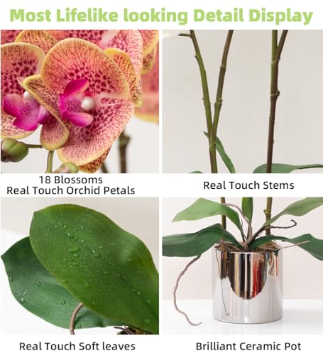 CXGS Artificial Orchid Flower Plant Real Touch Faux Orchids in Ceramic Vase Purple Dapple 19.7'' Fake Phalaenopsis Flower Arrangement Centerpiece Home Indoor Decor - color: Purple Dapple- Silver