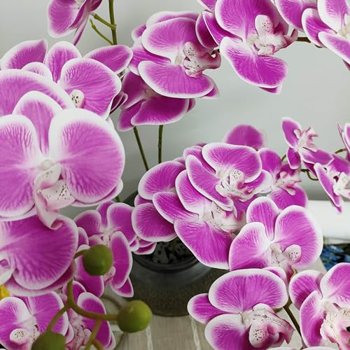 6 Pack Rose red White Edge Orchid Artificial Flowers, 32'' Artificial Fake Faux Silk Orchid Stem Bouquets for Wedding Party Home Garden Decor,Orquideas Artificiales para Decora (not including pot) - color: Rose Red With White Edge