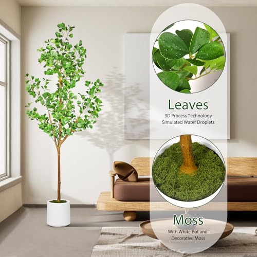 6 FT Artificial Heart Ficus Tree Indoor, Realistic Faux Plant with Dew Drops, Fake Tree with Pots for Home Office Decor