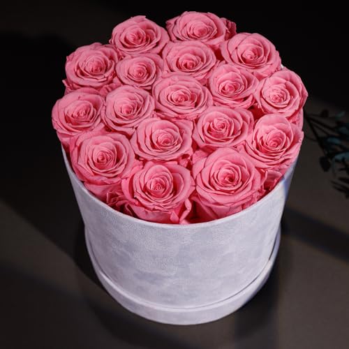 Prifroti 17 Flowers in a Luxury Suede Box, Birthday Gifts for Women, Preserved Flowers, Mothers Day Roses Gift for Mom, Light Pink - color: Light Pink, size: 17 Roses