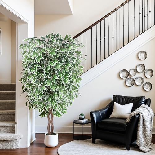 Jocoevol 6FT Artificial Ficus Tree, Tall Faux Trees Indoor with White Planter, Dried Moss, Natural Silk Leaves & Trunk, Fake Plants for Home Living Room Office Corner Decor Housewarming Gift - color: White Border, size: 6ft