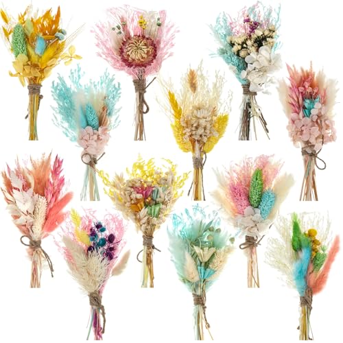 Layhit 12 Pcs Boho Dried Flower Bouquet Mini Wedding Handmade Dry Flowers Decor for Vase Crafts DIY Photo Boutonniere for Men Floral Plant for Bridesmaid Gift Birthday Decor(Lively) - style: Lively