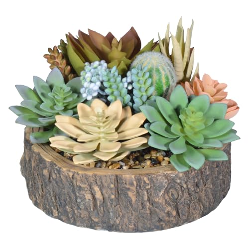 Premium Assorted Artificial Succulent Collection - Large Real Touch Artificial Cactus, Aloe Vera & Succulent Plants Artificial with Pots for Home Office Indoor (Artificial Tree Stump - Pot) - color: Artificial Tree Stump - Pot