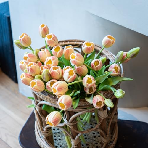 Artificial Tulips Flowers,Soft Touch Latex Bouquet, Fake Tulips,Spring Wedding Home Room Table Centerpiece Decor - color: 60pcs Champagne Set(no Vase)