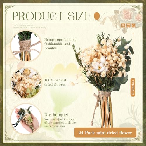 Layhit 24 Pcs Boho Dried Flower Bouquet Mini Wedding Handmade Dry Flowers Decor for Vase Crafts DIY Photo Boutonniere for Men Floral Plant for Bridesmaid Gift Birthday Decor(Greenery) - style: Greenery