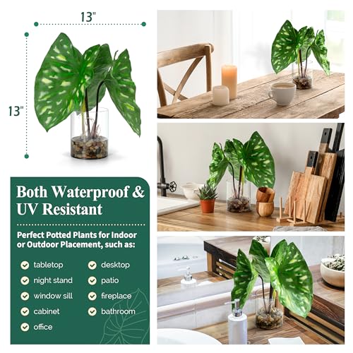 SUNPRAIRIE Tropical Artificial Plant in Clear Pot with Artificial Water, Wide Arrowhead Leaves. Faux Plants Indoor and Outdoor