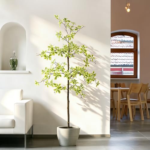 Erimda Faux Black Olive Tree 5ft, Faux Plants Indoor Large Tall Tree Artificial Shady Lady Tree with Natural Wood Trunk & Realistic Leaves, Fake Olive Plant for Home Office Indoor Decor - color: White, size: 5ft