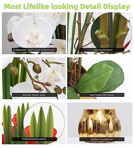 CXGS Artificial Orchid Flower Real Touch Faux Orchids in Ceramic Vase Large 22.9'' Fake Flowers White Phalaenopsis Floral for Home Indoor Decor - color: White- Golden (Large Pot)