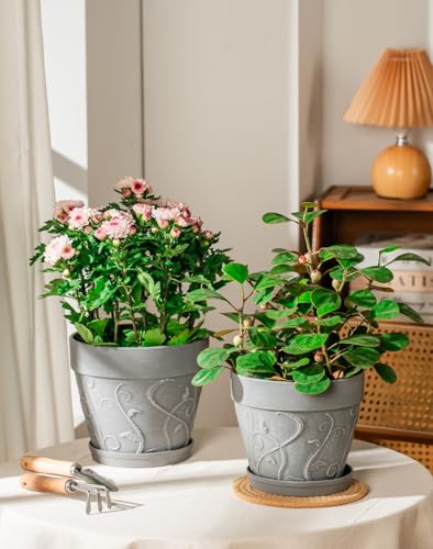 Melphoe Plant Pots Indoor with Drainage & Saucer, 2Pack 7/8 inch Flower Pots Outdoor Planters for Indoor Plants Garden Home Decor Cactus Succulent, Rigid Plastic (Imitation-Terracotta) Vine-Embossed - color: Cement Grey Color, size: 7''+8"