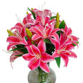 ATFL Artificial Lilies Flowers,9 Pcs Faux Lily Flowers,16''Tiger Lily Branches with 2 Full Blooms and 1 Bud,Faux Fake Lilies Plants for Wedding Bouquet Floral Arrangements (9, hot Pink) - color: Hot Pink