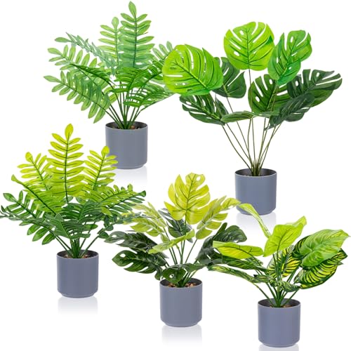 Suncalla 5 Pcs 11 inch Artificial Potted Tropical Plants Indoor Small Faux Monstera Plant in White Pebbles Pots Fake Greenery Table Centerpiece for Home Living Room Kitchen Office Shelf Bedroom Desk