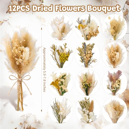 12/24 PCS Charming Dried Flowers Bouquet for Vase Various Dried Wildflowers with Stems Mini Handmade Wildflowers Natural Real Flowers Bulk Flowers Craft (Solid Color, 12 PCS) - color: Solid Color