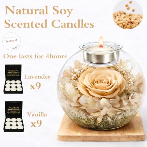 Preserved Real Rose in Glass with Scented Candles for Mom Her Wife Girlfriend Grandma Birthday Anniversary Romantic - color: Zenith Champagne