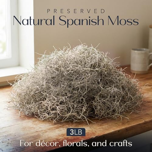 Royal Imports Preserved Natural Spanish Moss, Fresh Dried Shredded Loose Chunks, 3 LB Bulk Case - size: 3 Lbs Box