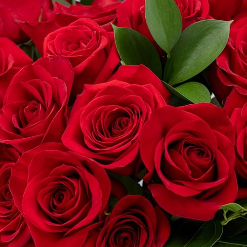 Benchmark Bouquets - Red Roses Bouquet - Fresh Flowers for Delivery - Two Dozen Long Stem Roses - Mothers Day Flowers for Mom - Mothers Day Gifts for Mom - Mothers Gifts (Glass Vase Included) - style: Deluxe