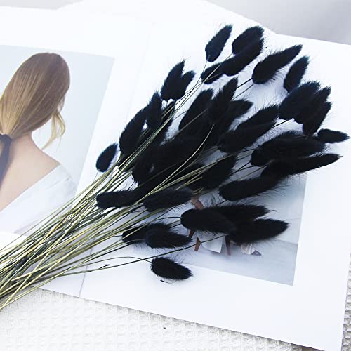 60pcs Dried Bunny Tails Flowers Black Pampas Grass Natural Dried Floral Arrangement Dry Flowers for Halloween Christmas Boho Decor Home Wedding DIY Craft Decoration (16")… - color: Black