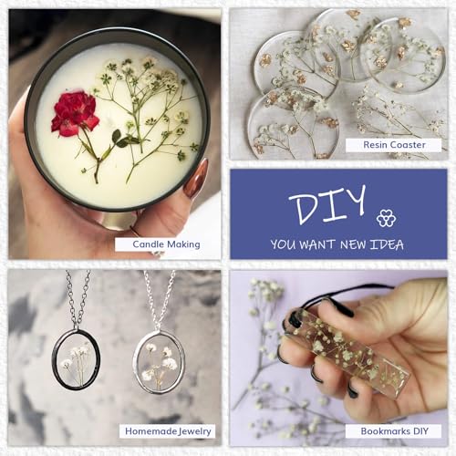 56Pcs Babys Breath Mini Dried Pressed Flowers for Crafts, Real Natural Flat White Dry Flowers Bulk for DIY Wedding Invitation, Resin Art, Card, Bookmark, Scrapbook, Jewelry, Frame, Candle, Soap Making - color: White Baby's Breath 56pcs