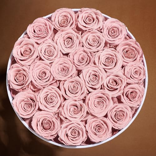 Prifroti 27 Flowers in a Luxury Suede Box, Birthday Gifts for Women, Preserved Flowers, Mothers Day Roses Gift for Mom, Dusty Rose - color: Dusty Rose, size: 27 Roses
