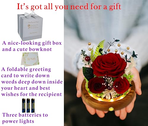 Valley of Rain & Forest Long-Lasting Real Flowers, Unique Floral Gift for You to Send Love for All Occasions, for Indoor Decoration (Dark Red Rose Arrangement) - color: Dark Red Rose