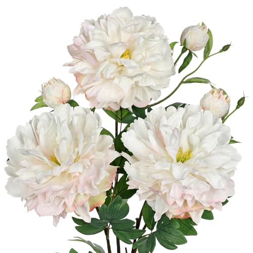 3Pcs White Peonies Artificial Flowers 27.5" Fake Flower Silk Flowers with Long Stem Floral Arrangements Bouquets Faux Peony Flowers for DIY Wedding Party Centerpieces Decor Home Office Decoration - color: White Peony