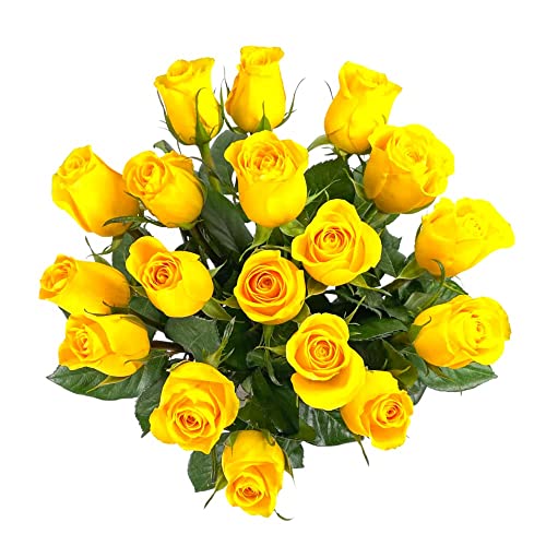 18 Yellow Roses with Vase | Arabella Bouquets | Real Fresh Flowers for Delivery, Gift for Birthday Women, Congratulations, Anniversary, Thank You, Mother's Day - color: Yellow, size: 18 Stems