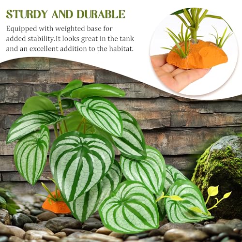 Reptile Plants for Terrarium, Amphibian Habitat Decor Plant, Artificial Plants for Gecko Lizard Chameleon Ball Python Snake with Base，Bearded Dragon Tank Decorations - Fake Calathea Orbifolia - color: Fake Calathea Orbifolia