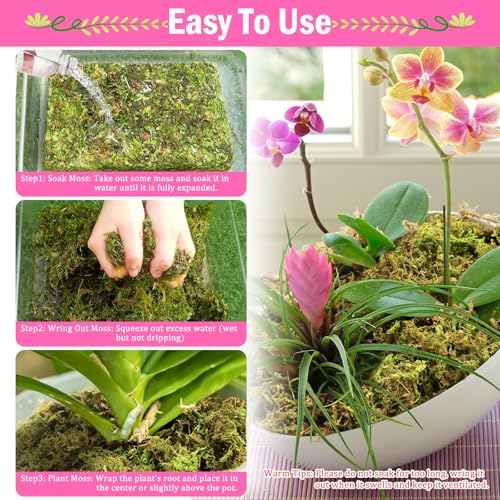 Riare 4.4LBS Premium Sphagnum Moss for Plants- 80QT Natural Dried Plant Moss for Potted Plants, Orchid Moss for Repotting, Soft Green Decorative Moss for Succulents, Reptiles & DIY Crafts - color: 80 QT(Appx.4.4lbs)