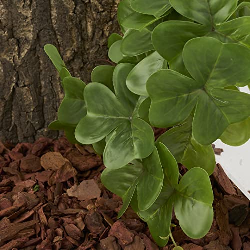 Reptile Plants for Terrarium, Amphibian Habitat Decor Artificial Hanging Plants with Suction Cup - Fake Shamrock - color: Fake Shamrock