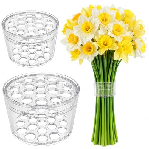 2 Pack Flower Arrangement Holder for Vase, Spiral Blossom Grid Flower Frog Stem Support, Ikebana Bouquet Tool (Clear) - color: Clear