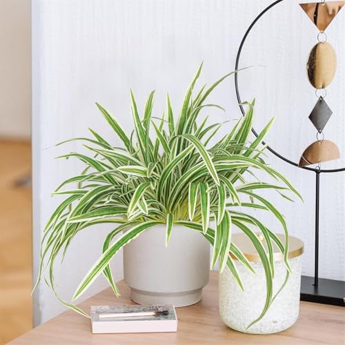 Artificial Spider Plant, Large 23.6 Inch UV Resistant Faux Greenery Bush for Indoor Table, Outdoor Planter Decor (Green, One Size)