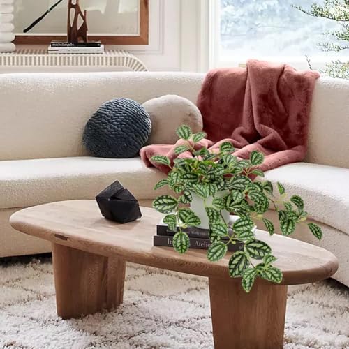 GnFlus Fake Hanging Plants, 20 Inch Artificial Ivy Plant in Ceramic Pot Faux Watermelon Peperomia Trailing Vine Plant Potted for Home Bedroom Office Table Shef Desk Indoor Outdoor Decor Green - color: Green-ceramic Pot