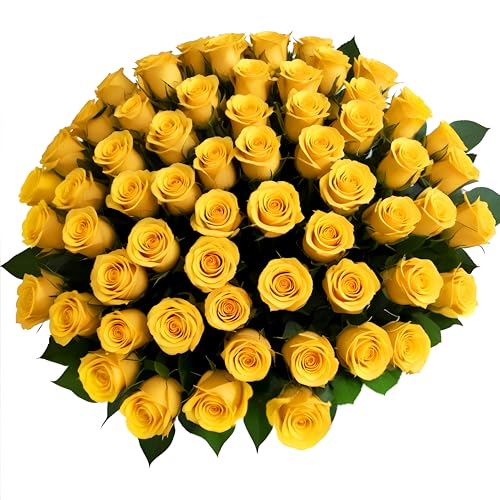 50 Yellow Roses | Bulk Roses by Arabella Bouquets | Real Fresh Flowers for Delivery, Gift for Birthday Women, Congratulations, Anniversary, Thank You, Mother's Day - color: Yellow, size: 50 Stems