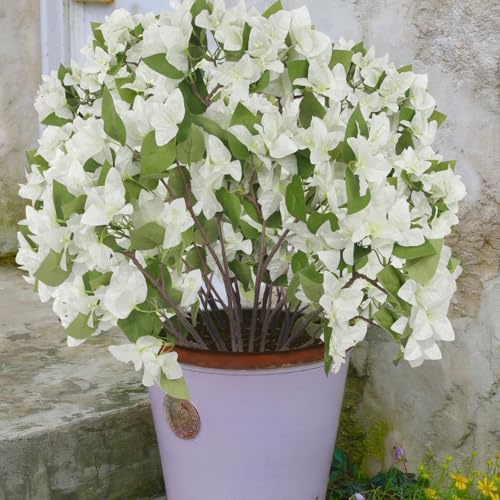 CITYES 2 Pcs Artificial Flowers Bougainvillea Outdoor White Faux Bougainvillea Flowers with Stems Artificial Bougainvilleas Silk Flowers Branches for Garden Wedding Centerpieces Table Runner Decor - color: White