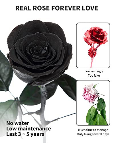 Preserved Rose, Preserved Flowers for Delivery Prime, Single Rose Flower Gifts for Women, Real Rose Presents for Her, Birthday Gifts, Valentines Flowers for Girlfriend - Black - color: 02-black