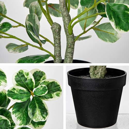 20" Artificial Rubber Tree Plant in Black Pot, Faux Ficus Tree Plant Potted with Cream White Edge Leaves, Fake Greenery Plant for Home Office Tropical Decor - size: 20" & Large