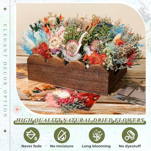Layhit 24 Pcs Boho Dried Flower Bouquet Mini Wedding Handmade Dry Flowers Decor for Vase Crafts DIY Photo Boutonniere for Men Floral Plant for Bridesmaid Gift Birthday Decor (Gerbera Daisy) - style: Gerbera Daisy