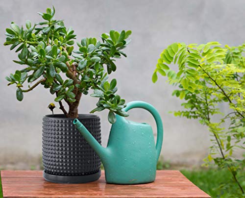 D'vine Dev 6 Inch Ceramic Beaded Stoneware Planter Pot - Flower Pot with Drainage Holes and Saucers for Indoor Succulent Plants or Flowers, Ebony Matte, 27-C-X-6 - color: Ebony Matte, size: 5.8 Inch