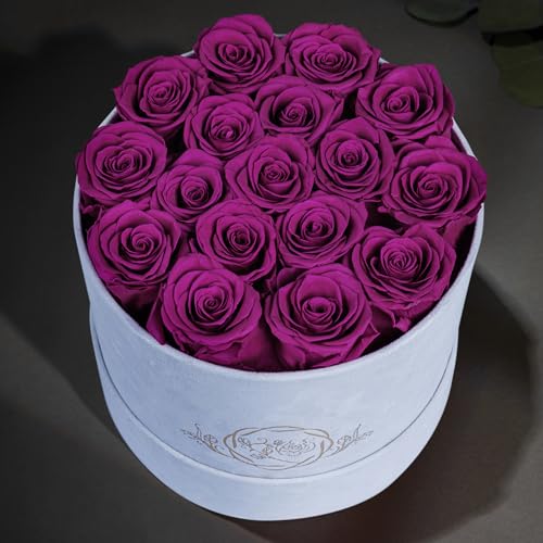 Prifroti 17 Flowers in a Luxury Suede Box, Birthday Gifts for Women, Preserved Flowers, Mothers Day Roses Gift for Mom, Bossy Pink - color: Bossy Pink, size: 17 Roses