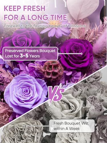 Bessol Flowers for Delivery Preserved Flower Bouquet Forever Fresh Flowers Birthday Gifts for Women Mom Anniversary Red Real Rose Gifts for Grandma Wife Girlfriend Sister Her from Daughter - color: Purple Preserved Flower Bouquet, size: Large