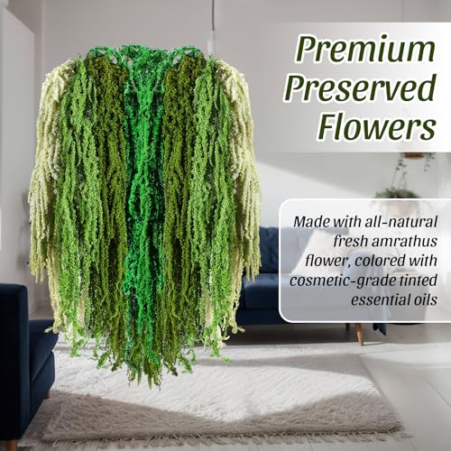 Suncalla 12 Pcs Multi Green Spring Natural Dried Amaranthus Hanging Flowers Amaranthus Artificial Flowers for Wedding Arch Bouquet Floral Garland Wall Home Decoration (23 Inch) - color: Multi Green
