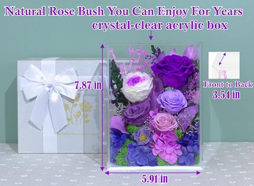 Valley of Rain & Forest Long-Lasting Real Flowers, Handcrafted Preserved Rose Bush For you to Send Love for All Occasions, Floral Arrangement for Indoor Decoration (Dark Purple Rose) - color: Dark Purple Rose