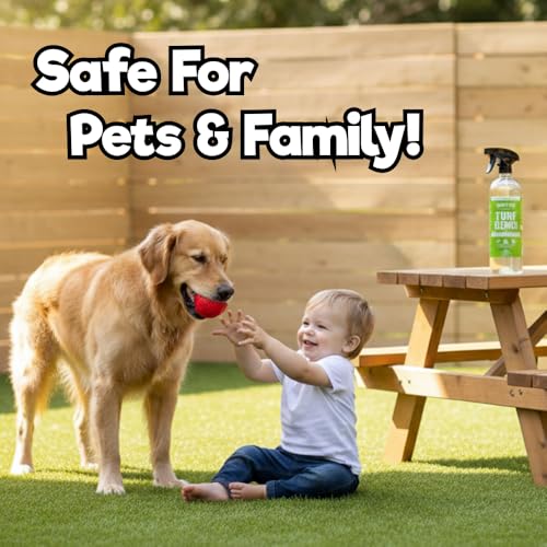 Paws and Play Turf Cleaner for Pet Urine Outdoor and Indoor | Artificial Grass Dog Urine Cleaner That Cleans and Deodorizes Pet Waste on Fake Grass For Dogs - 96 Fl Oz (Pack of 3) - size: 32 Fl Oz (Pack of 3)