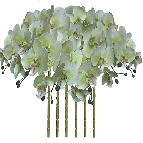 FagusHome 32 Inch Artificial Phalaenopsis Flowers 6 Pcs Artificial Orchid Flowers Stem Plants for Home Décor (Light Green), FH1000143 - color: Light Green