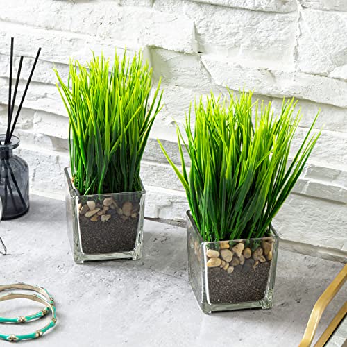 MyGift Artificial Grass Plants in Modern Square Clear Glass Pots with Faux Pebbles and Soil, Decorative Potted Greenery Plant in Tabletop Planter, Set of 2 - color: Clear (Square)