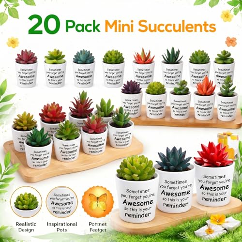 24 Set Artificial Faux Succulents in Pots Mothers Day Mini Fake Plants Plastic Artificial Plants Sometimes You Forget You're Awesome for Mother Gift Employee Nurses Coworker Colleague Teachers