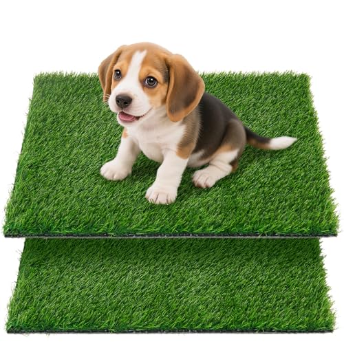 Artificial Pee Grass Pad for Dogs, Fake Grass Replacement Pads for Dog Potty Tray Training Pet Turf, Indoor and Outdoor Mat - 2 Packs (18" x 23") - size: 18" x 23"