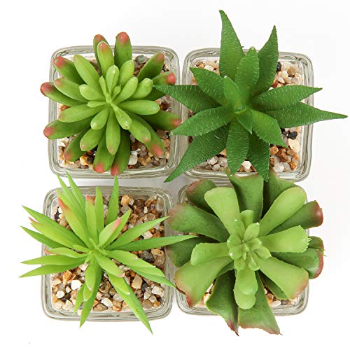 Briful Set of 4 Succulents Plants Artificial in Clear Glass Pots Small Fake Succulents Plants Mini Faux Plants Indoor for Window Sill Office Table Desk Shelf Bathroom Decor - color: Succulents #03