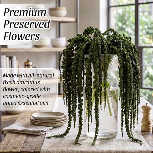 Suncalla 12 Pcs Natural Dried Amaranthus Hanging Flowers 23 Inch Amaranthus Artificial Flowers for Wedding Arch Bouquet Floral Garland Wall Home Decoration - color: Apple Gree